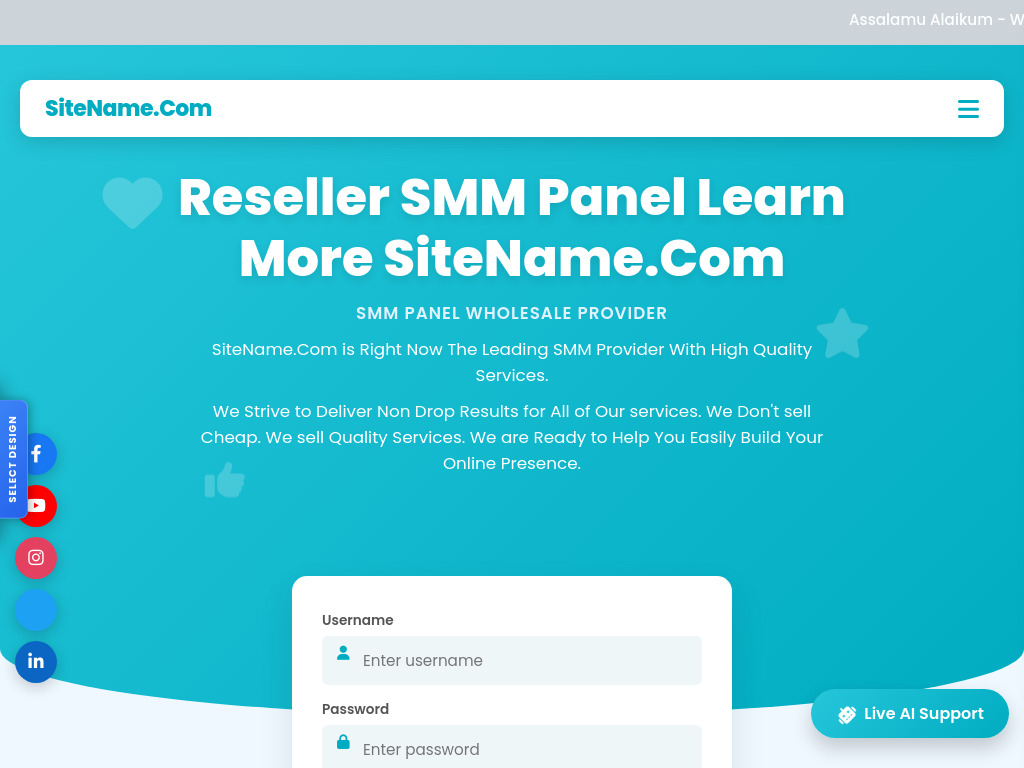 SMM Panel (Amber)-3